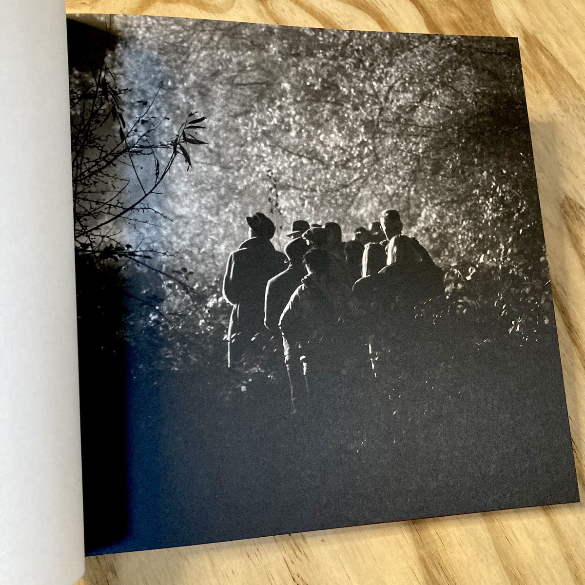 photobookjunkee's tweet image. 📚Photobook recommendation!

From the store:

Apiary by @Robin__Friend - published by @jointsloose 2021

More info/purchase here:
photobookjunkies.com/product/robin-…

#photobookstwitter 🖤