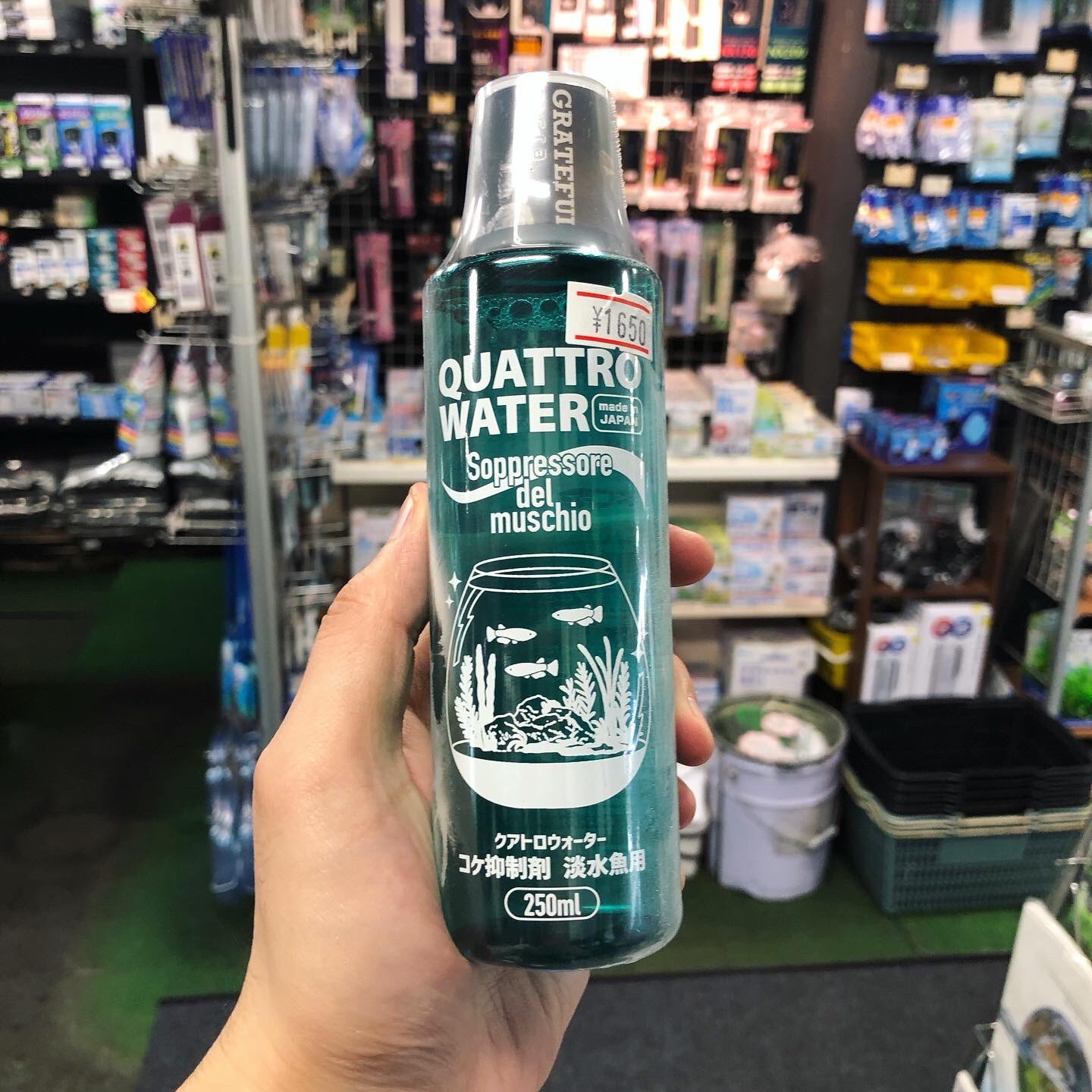 アクアテイク E アクアテイクイー 熱帯魚専門店 クアトロウォーター 250ml 1 650円 税込 天然成分で作られた コケ抑制剤です 丈夫な水草には問題ないそうですが 水草レイアウトよりは金魚等 お魚メインの水槽におすすめです T Co Vxa72l0ho1