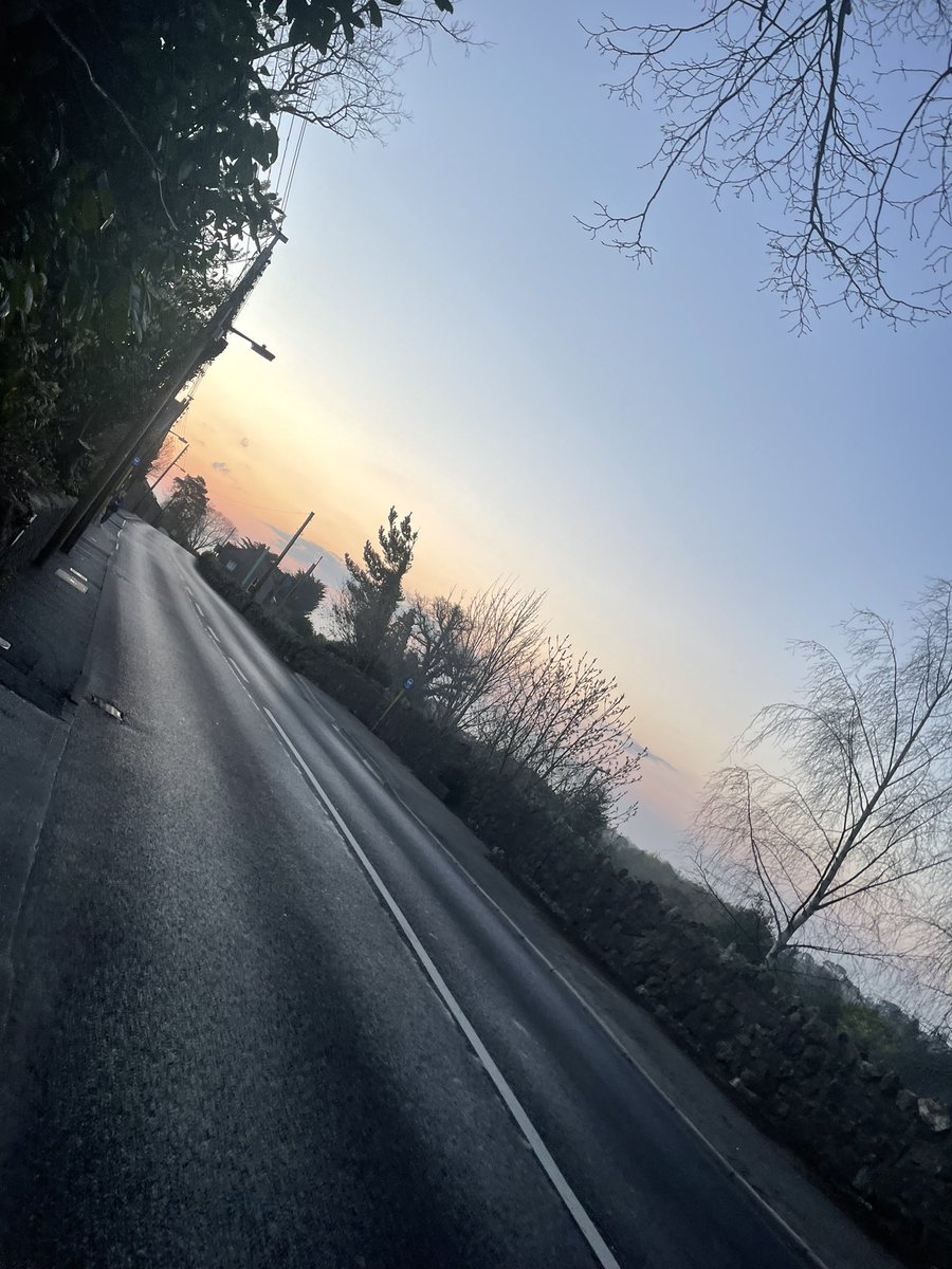 samamcconnell's tweet photo. Misty morning with much better behaved puppy #wonderpaws #100daysofwalking https://t.co/F3vKvSrpZk
