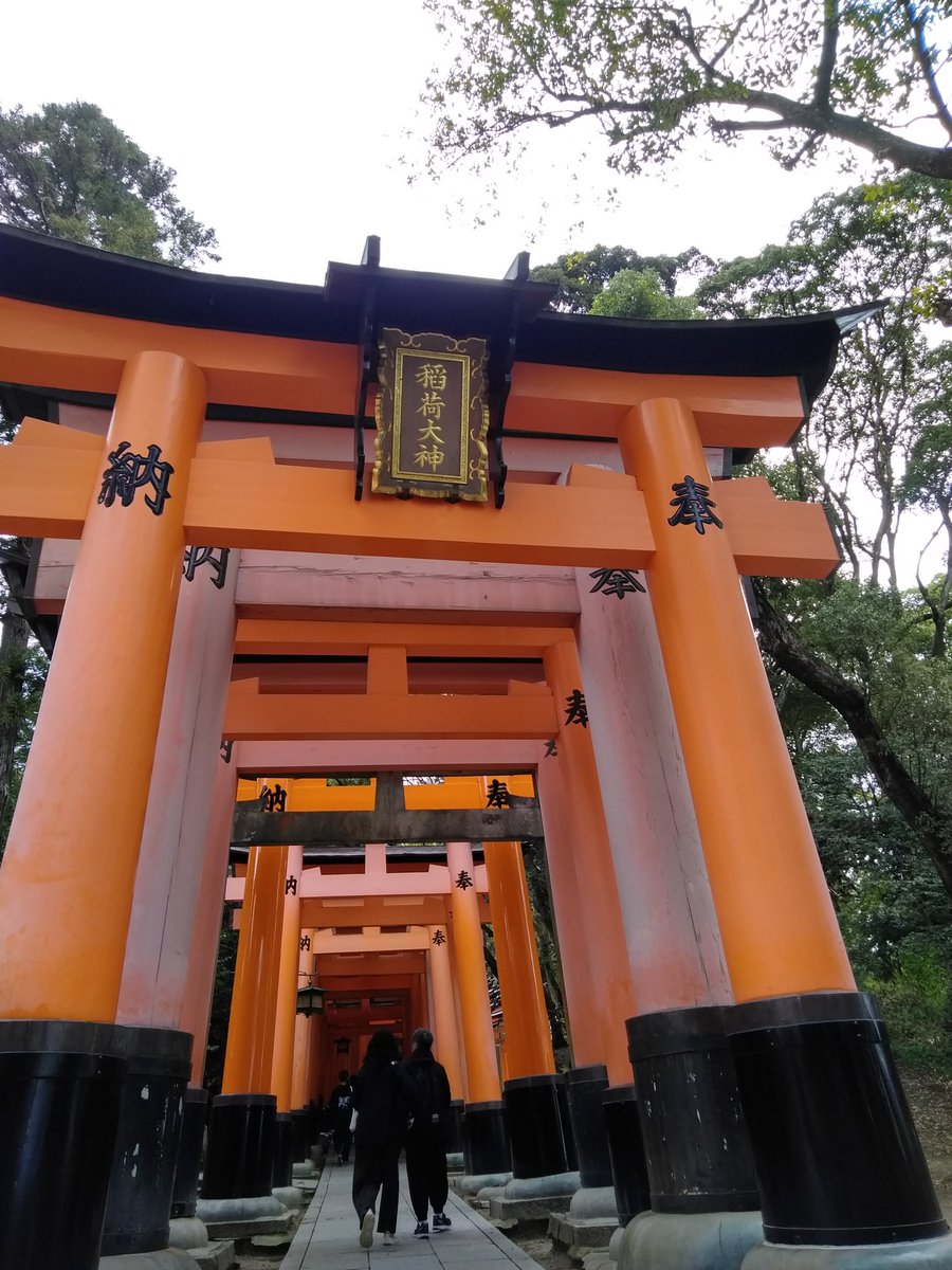 MINA_0_0's tweet photo. 山頂まで登って、みんなの健康とか安全とか世界平和とか仕事に恵まれるよう祈願してきたよ

欲張りすぎ?なんもなんも神様多すぎで、あちこち祈願しまくり出来ますｗ
＃伏見稲荷大社 https://t.co/FsR9O0Hy4D