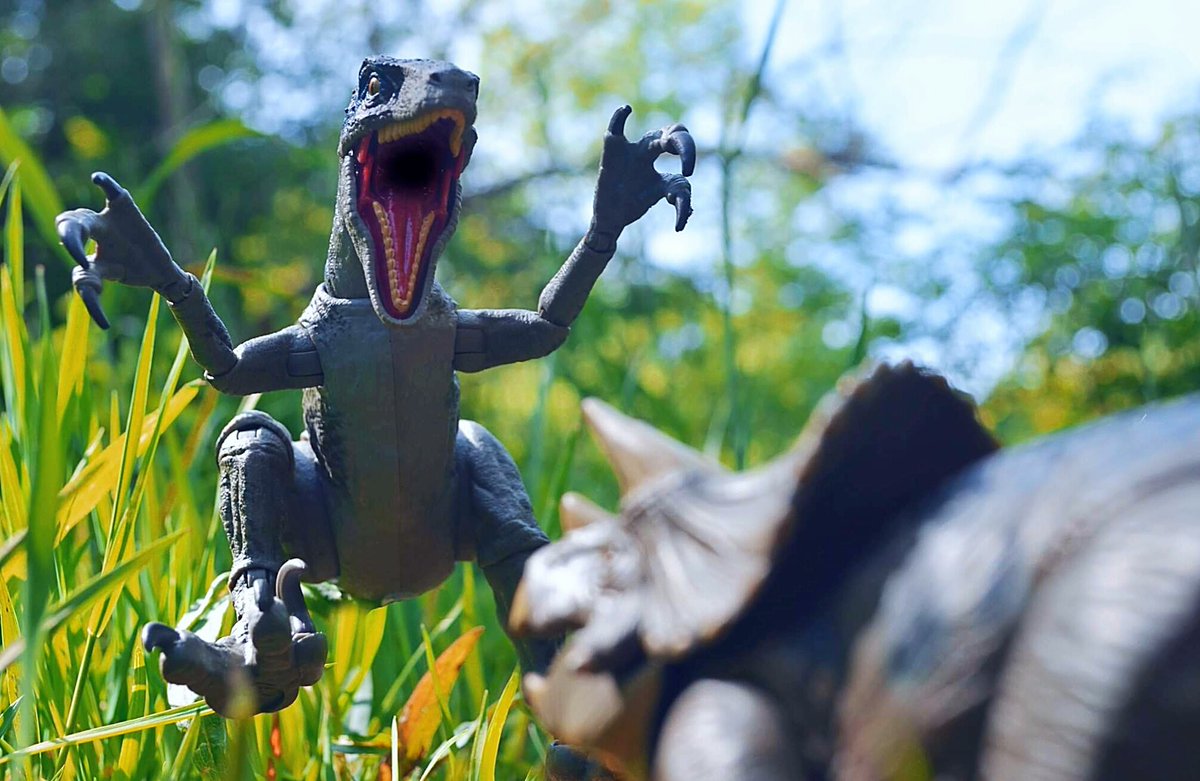 JMaloneActs's tweet photo. The Equilibrium Process

@JurassicWorld | @Mattel 

#JurassicWorld #JurassicPark #Blue #Velociraptor #Triceratops #TheLostWorld #AmberCollection #Kenner https://t.co/Pvc86hufoN