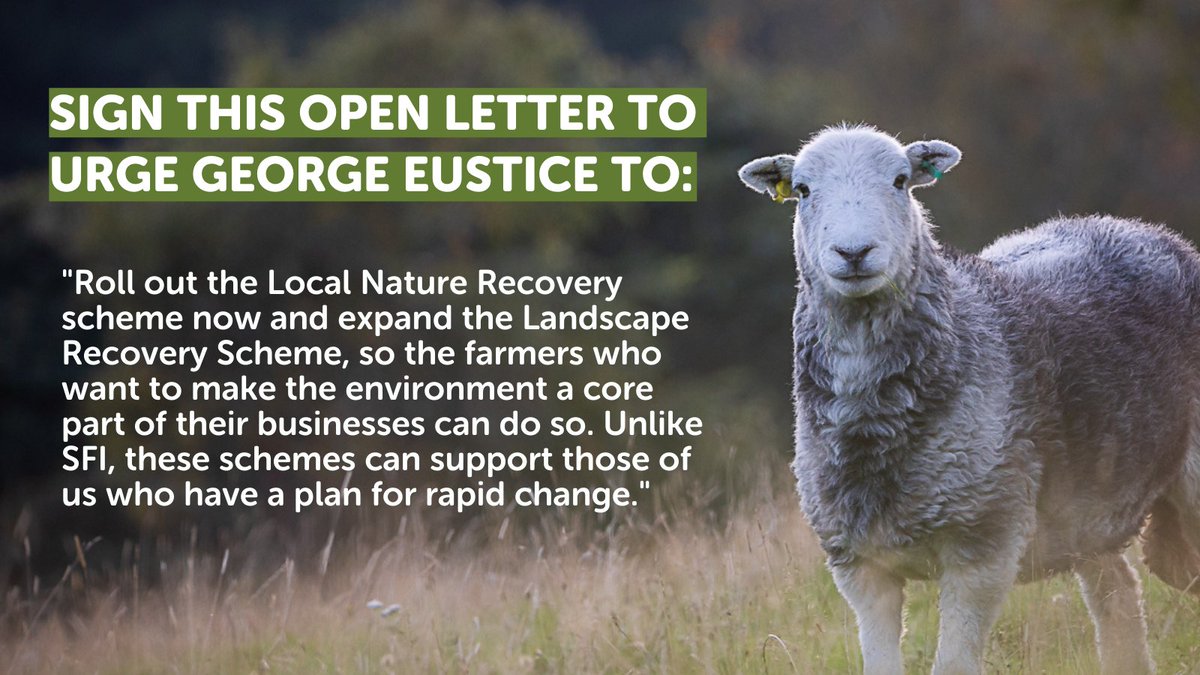 5️⃣2️⃣ signatures to go 🎯

Have you signed this open letter to George Eustice?

⬇️
startafire.co/greenalliance/…

📸 Sorcha Lewis