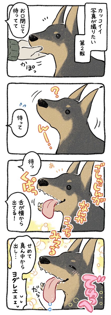 犬の舌は想定の3倍は長い #漫画が読めるハッシュタグ #コミックエッセイ #4コマ漫画