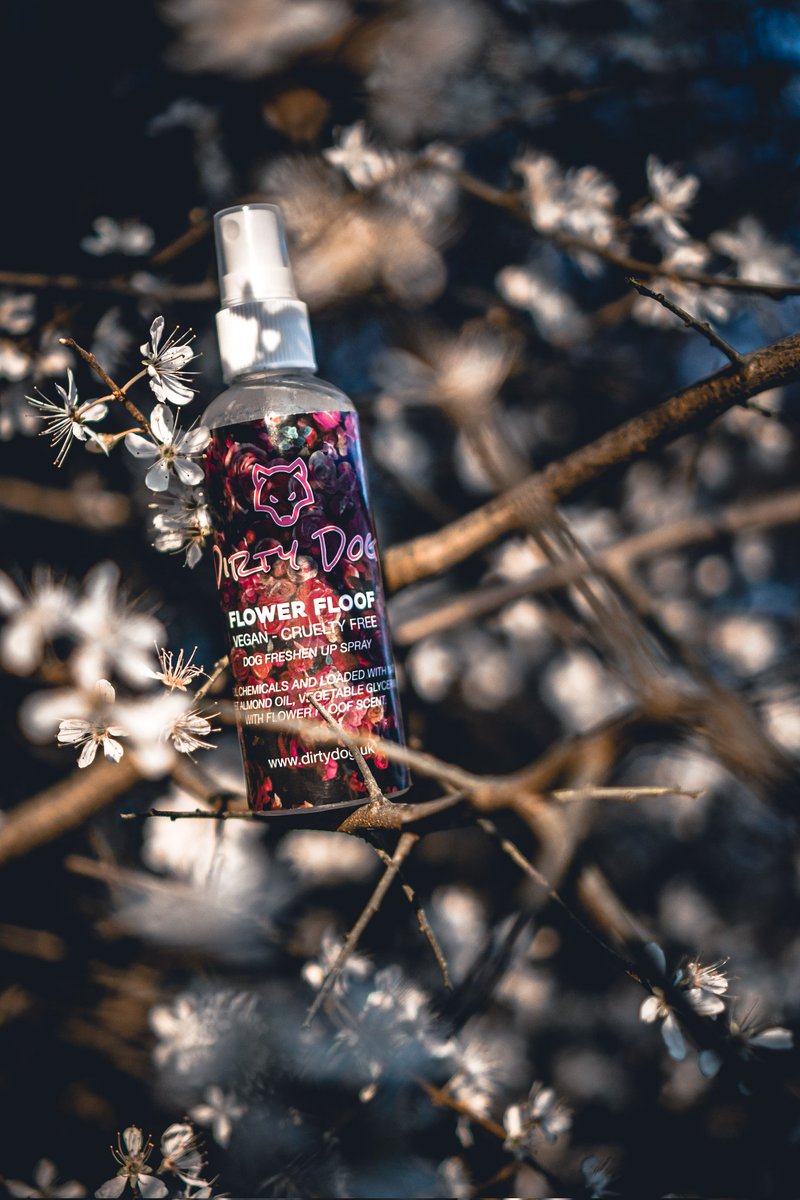 The gift of Flowers 🌸💮🌼🏵️
Dirty Dog edition 💁🏼‍♀️
This is a firm favourite of yours since it's release this time last week & I can totally understand why, it's beautiful 🥰

#flowers #ukdogsoftwitter
#springflowers #spray #spraybottle #smellspretty #dogspray #productpic