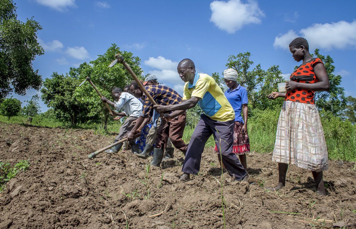 Land is a significant productive resource and remains one of the most contentious and essential aspects in Uganda. It is regarded as a source of power, cultural identity and used for agriculture by farmers to improve their livelihoods and feed the nation 
#WomenLandRightsNow