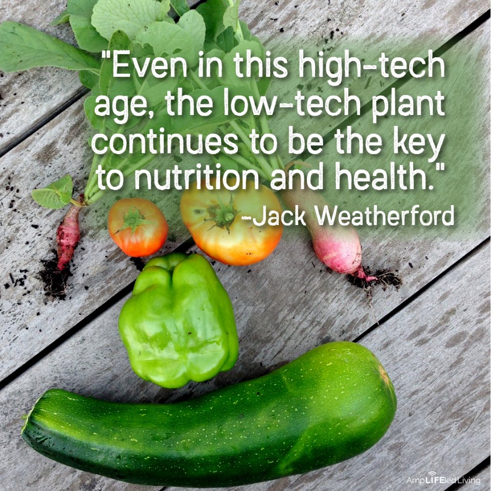 TN_Chiro's tweet photo. Most people are shocked at how much better they feel when they trade processed foods for whole vegetables and fruits. #realignyourthinking https://t.co/Jv8qQD04sc