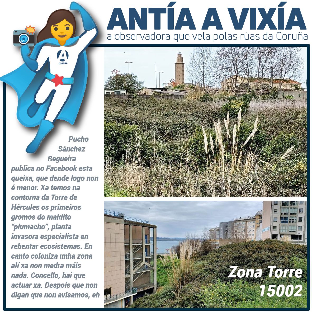 antiaavixia tweet media