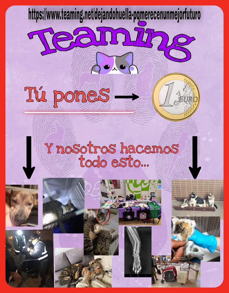 dejandohuella13's tweet image. Buenos días. Comenzamos la semana animándoos a uniros a nuestro @Teaming, es tan sencillo y podeis hacer tanto con tan poco. Os dejamos el enlace, y os aseguramos que será un euro siempre, no habrá sustos

teaming.net/dejandohuella-…
#teaming #unete #tenecesitamos #formaparte