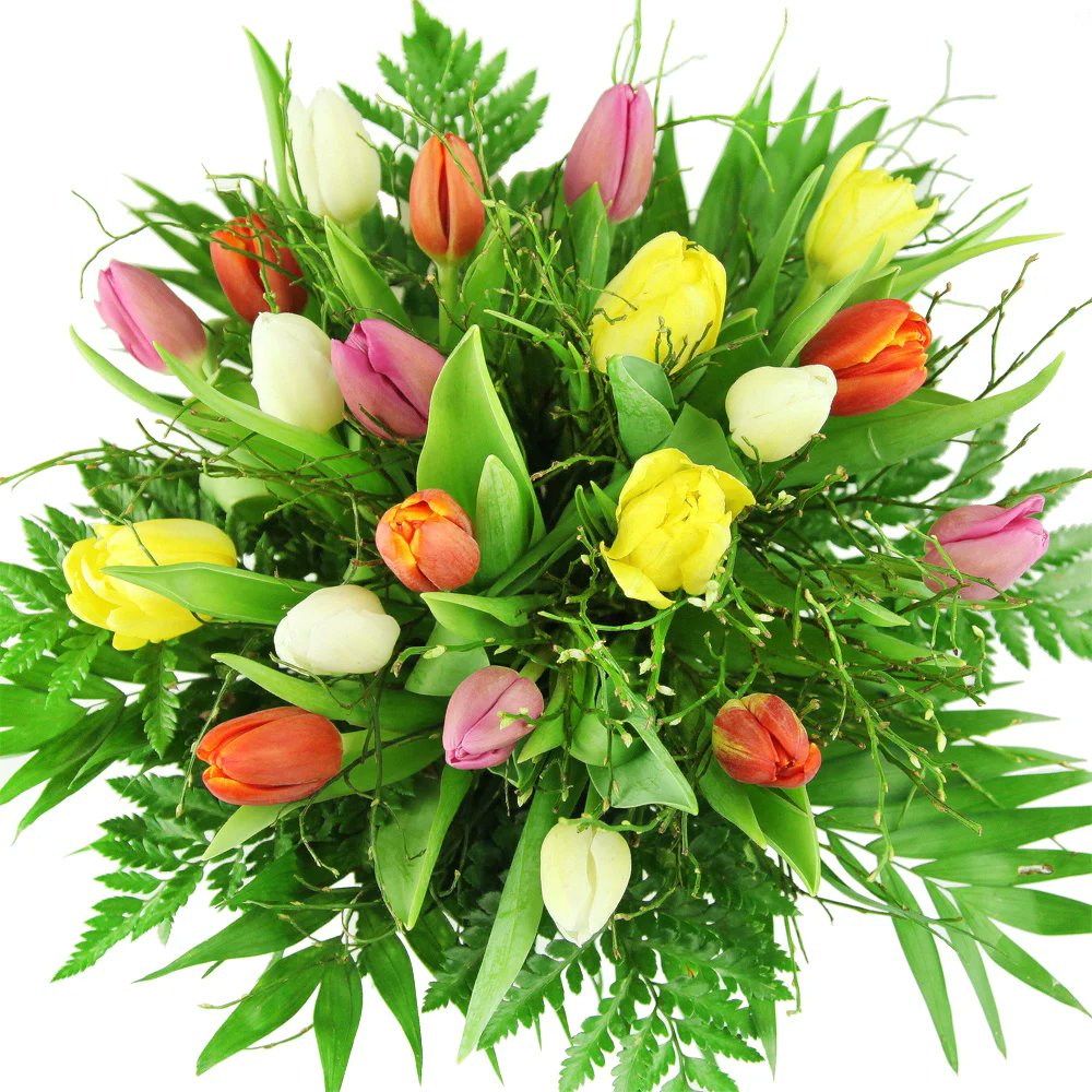 Deutschlandweiter Versand mit Frischegarantie Blumenversand Rosenbote Blumenstrauß mit 20 frischen bunten Freesien und kostenloser Grußkarte 