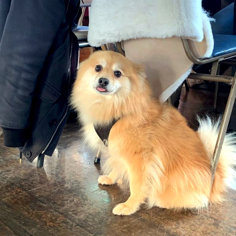 Oh! Juzt minding me own buzinezz could I pleaz get a drink? I am thirzty 🐶💦