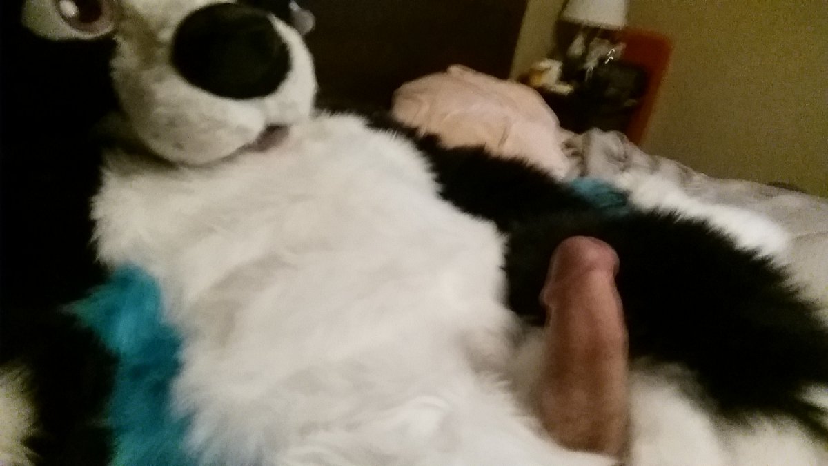 Ember Collie tweet media