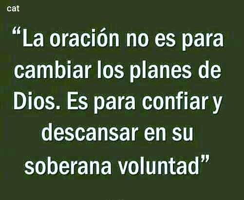 ArriojaTorres's tweet photo. https://t.co/T85lfDayxE