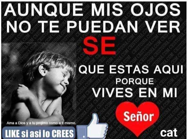 ArriojaTorres's tweet photo. https://t.co/PGCfghoWos