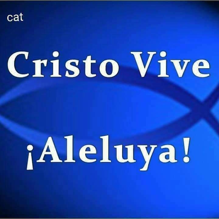 ArriojaTorres's tweet photo. https://t.co/Mmof5VTJz5