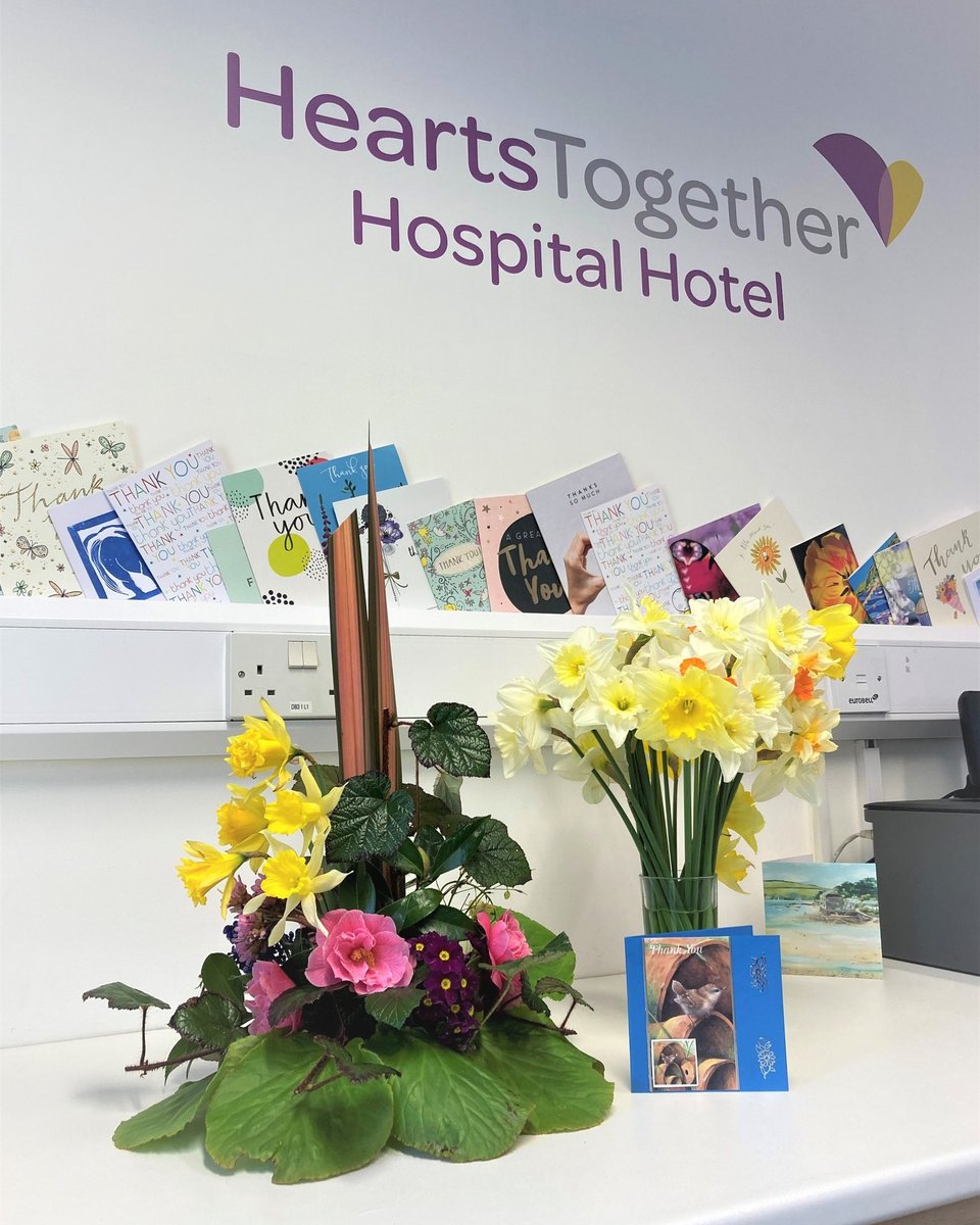 _HeartsTogether's tweet photo. Bringing Spring into the Hotel with this beautiful flower arrangement made by a guest with flowers from her own garden! So talented, thank you!
#spring #springflowers #thankyous #gifts #flowerdisplays #heartstogether #heartstogetherhospitalhotel #derrifordaccomodation https://t.co/6oQnUSDEYC