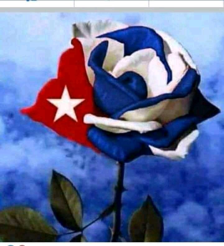 Gracias a todos los países que nos acompañan en ésta lucha contra el bloqueo 🇨🇺🇨🇺, gritemos TODOS juntos Abajo el Bloqueo! Viva la Solidaridad! #SomosCuba #SomosContinuidad <a href="/CujaeRedSocial/">Universidad Tecnológica de La Habana</a> <a href="/DiazCanelB/">Miguel Díaz-Canel Bermúdez</a> <a href="/DrRobertoMOjeda/">Dr. Roberto Morales Ojeda</a> <a href="/modesto_gc/">Modesto Ricardo Gómez Crespo</a> <a href="/centrofidel/">Centro Fidel Castro Ruz</a>