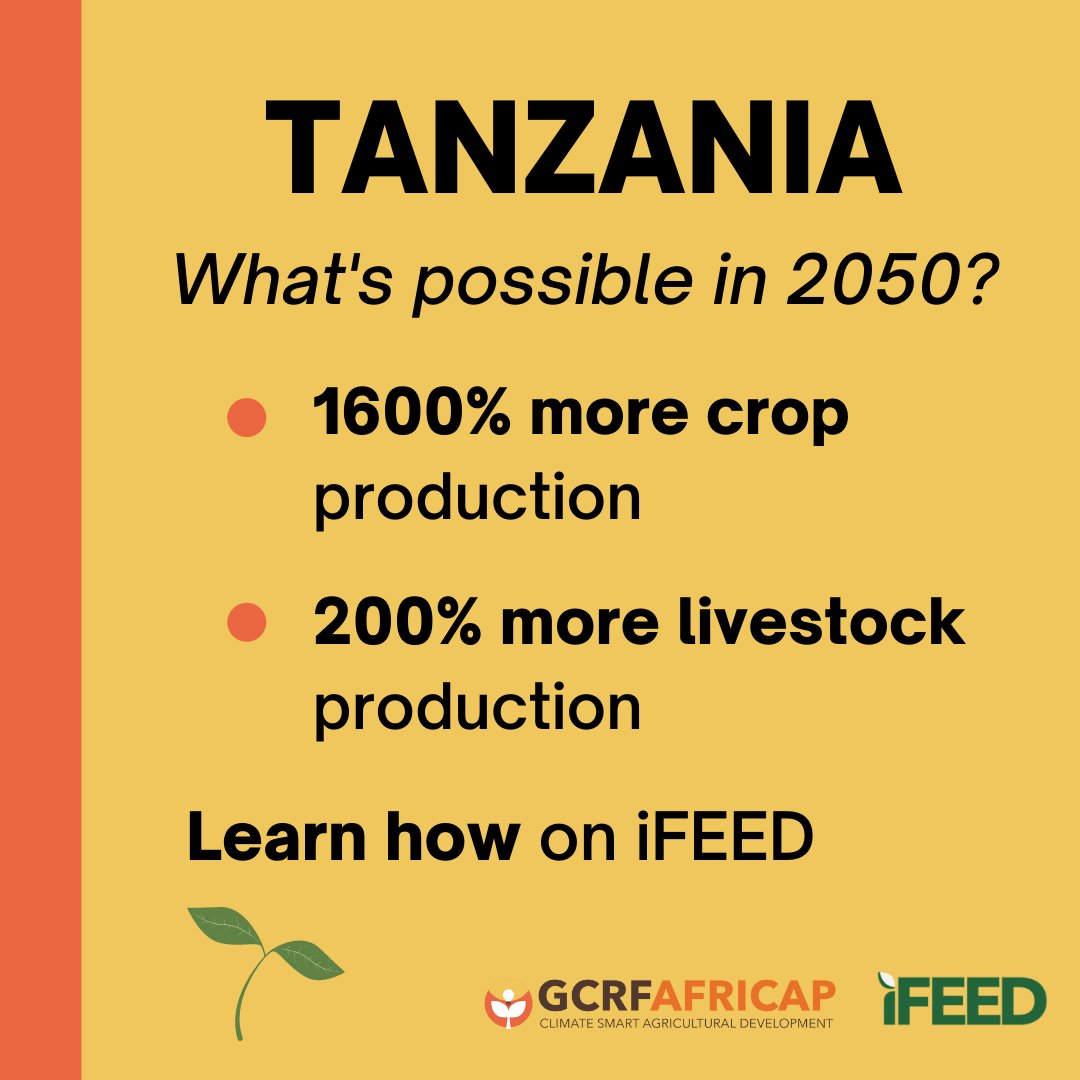 FANRPAN's tweet photo. Extreme #ClimateChange in #Tanzania could decrease labour productivity.

But with the right mix of policy and innovation, crop and livestock production could increase many times over. 

Learn more https://t.co/chhItSDKSL https://t.co/eRjFyXqFVu