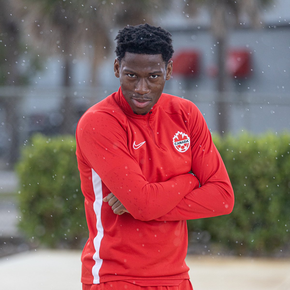 LOSC_EN tweet picture