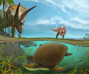 geologyUniBern's tweet photo. #IfGeoMonday A new exciting study reveals how a newly identified softshell turtle 🐢 lived alongside T. rex 🦖 and Triceratops more than 66 million years ago.
@PennSAS https://t.co/VREOy3590o