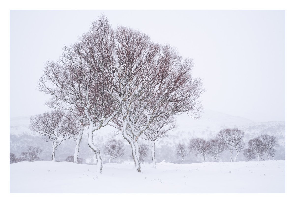 Laid on the lawn in a t-shirt yesterday, snow forecast this week! I've been loving the warm weather but the last time I was out with my camera was pretty fantastic too... #snow #StormEunice #landscapephotography