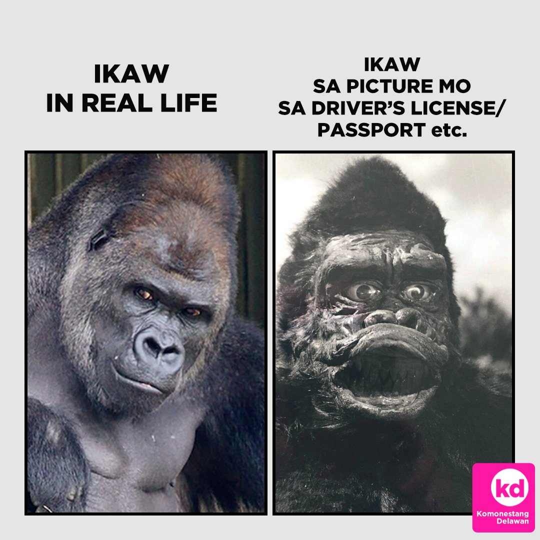 Komon3sta's tweet photo. Trot. 😂

#idpicture https://t.co/AqQn5z3awp