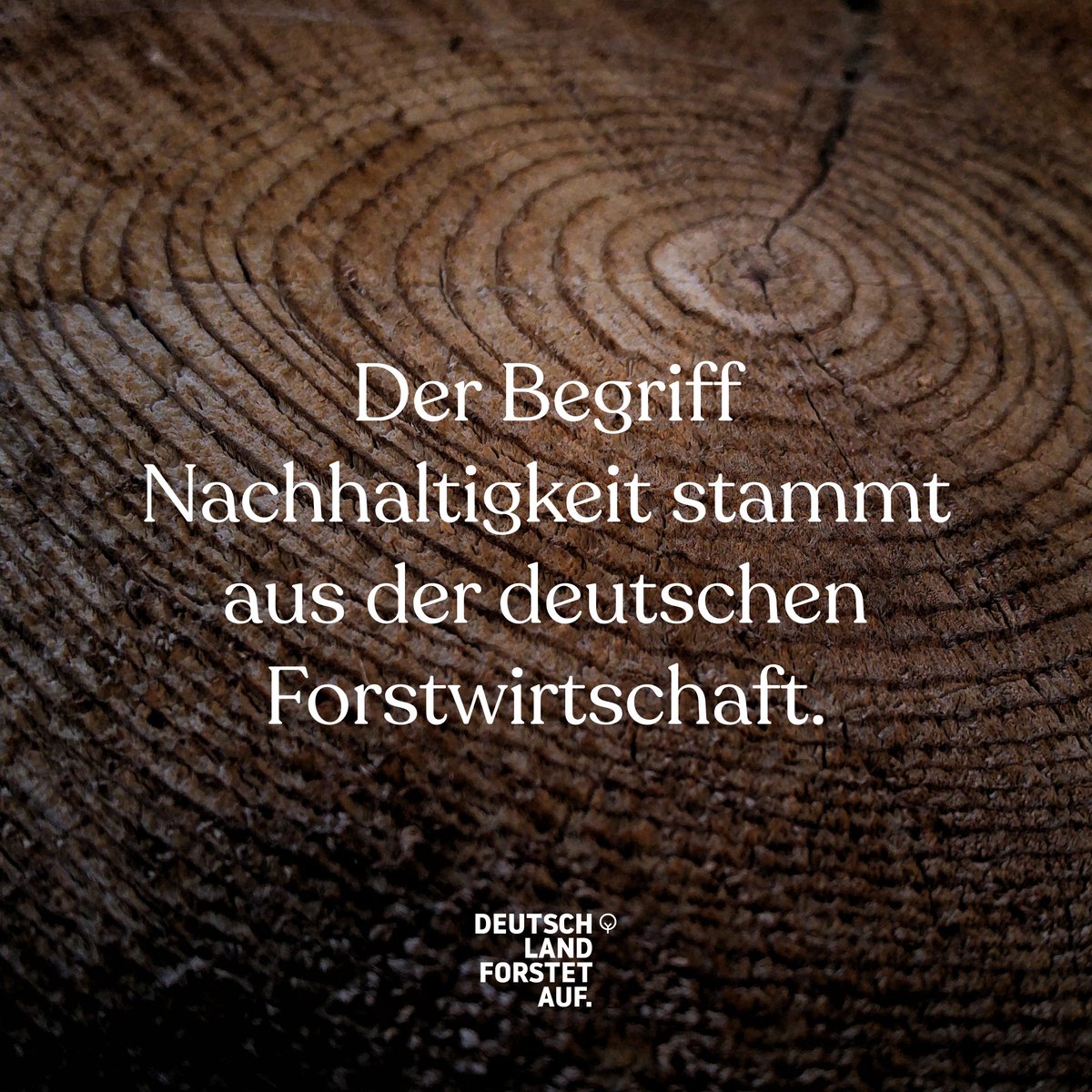 Der Begriff Nachhaltigkeit kommt aus der  Forstwirtschaft. Schon 1713 schrieb Hans Carl von Carlowitz von einer „nachhaltenden Nutzung“ der Wälder.

Die Idee: Man entnimmt dem Wald nie mehr Holz als nachwachsen kann, sodass er sich immer wieder von alleine regenerieren kann.