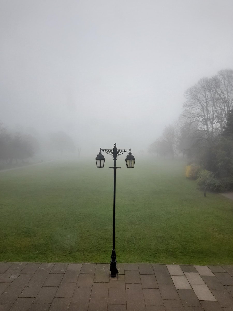 #Charlton's looking particularly #Victorian this morning. 🌫🌳 #MondayMystery... or should I say #MondayMISTery???