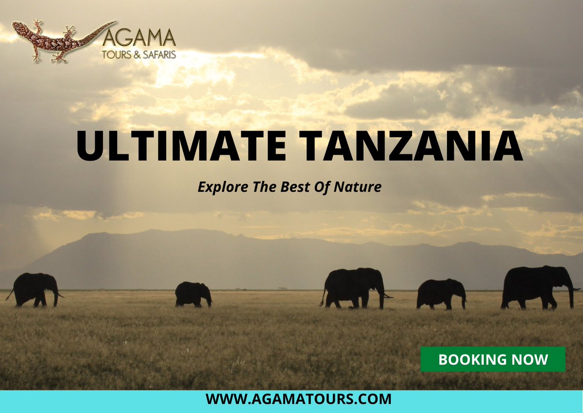 AgamaTours's tweet photo. Explore The Best Of Adventure with Agama Tours and Safaris https://t.co/AsCBqFnIVq