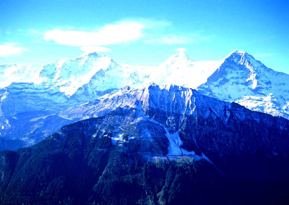 Jennifer Walkman tweet media