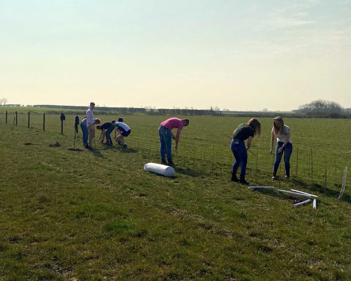 riseholmecampus's tweet photo. 🌱 Our Level 3 #Agriculture students have been hard at work hedge planting. Part of a local farm's planting scheme, it's a great opportunity for our students to develop their estate management skills.

Get ready for your farming career with our courses > https://t.co/oQ21Q5V7Ii https://t.co/3ZwPp5pqS5