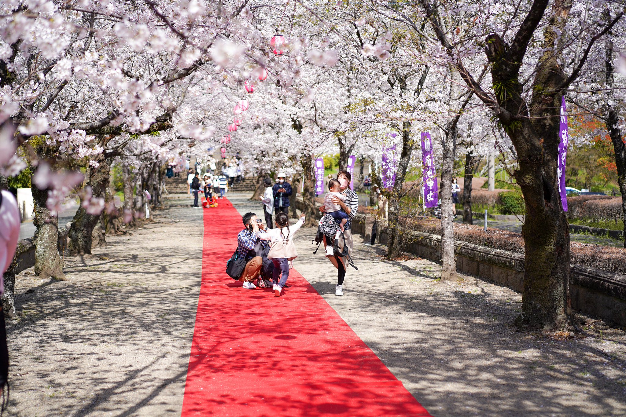花池 adidas ZX 5000 NATIONAL PARK FOUNDATION】アディダス ZX 5000