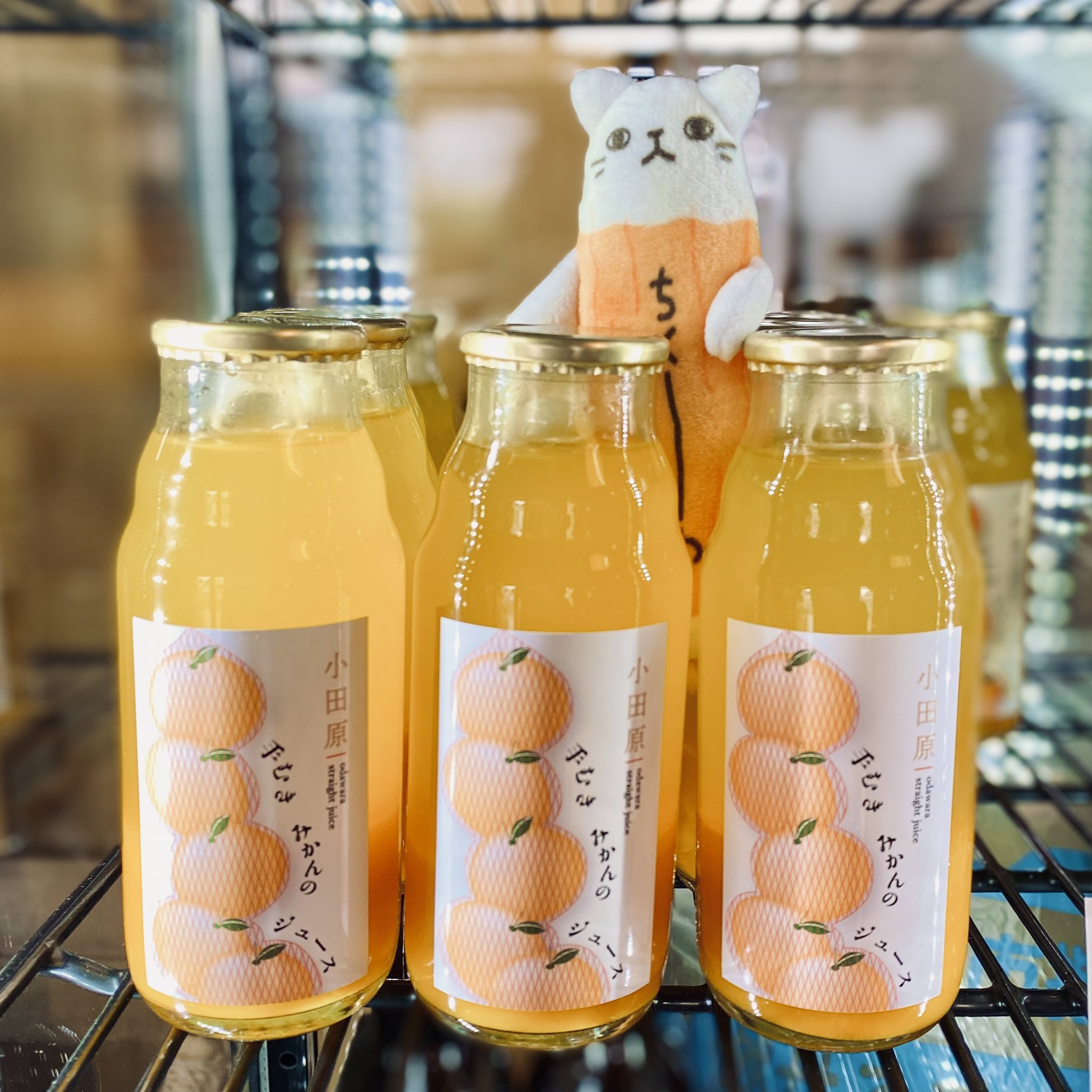 みかん さがみかん100％搾り 330ml×12本入: さが風土館 季楽|【JA