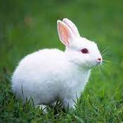 🌐Aआhज्ञाMकाaरीD🔗🔣 tweet media