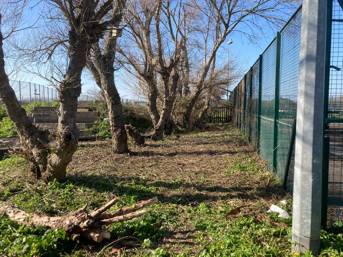 Photos of #CommunityPayback project at Rhyl Adventure Playground to open up the area that used to hold organised social events for the children on the estate. Plan is to clear it all and reveal again a sculpture, fire pit and an amphitheatre style seating area #SpringCleanWeek