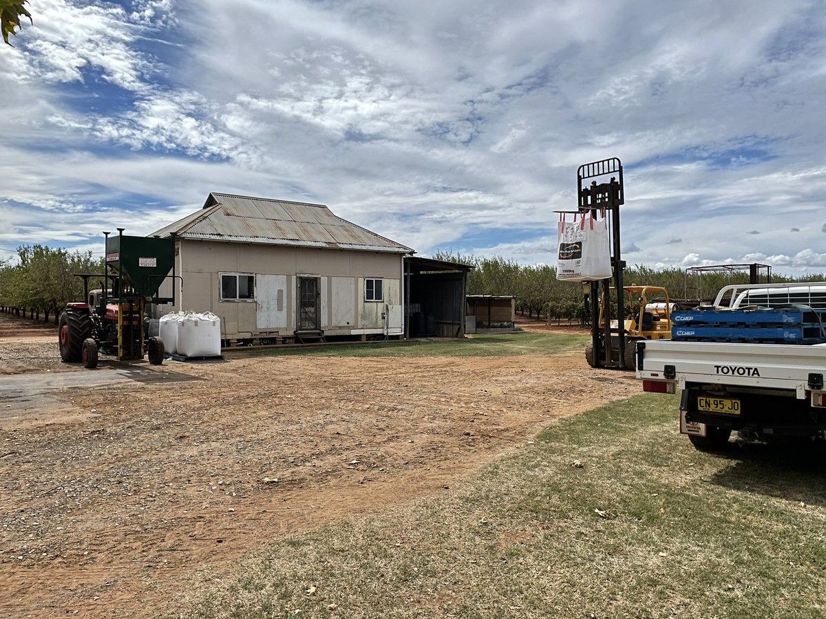 JC_Viti's tweet photo. Lucky the old Massey can still handle 500kg. Running out trials &amp; doing post harvest fert logisticsfun 🤦‍♂️@IPFertilisers @advantageagri @NutrienSthEast https://t.co/ERGSsIwxES