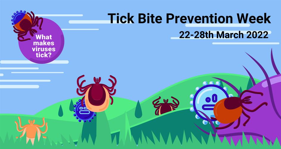 🕷️| #TickBitePreventionWeek | Meet our partners! Join us today on the hours between 11-3 as @scottishscicomm talks to some of our amazing partners, @RBiek, Lucy Gilbert, @CarolineMillins, @TCVCitSci, @NHSHighland, @GlobalVectorHub and @Eliza_Coli! #CVRTicks