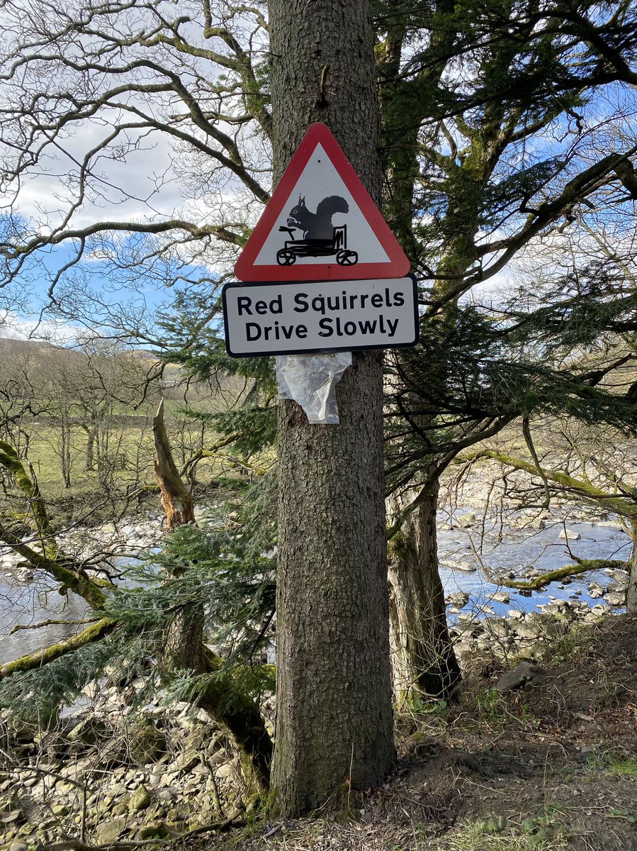 Monday morning giggle: It’s just as well, imagine the chaos if they drove quickly. 😂