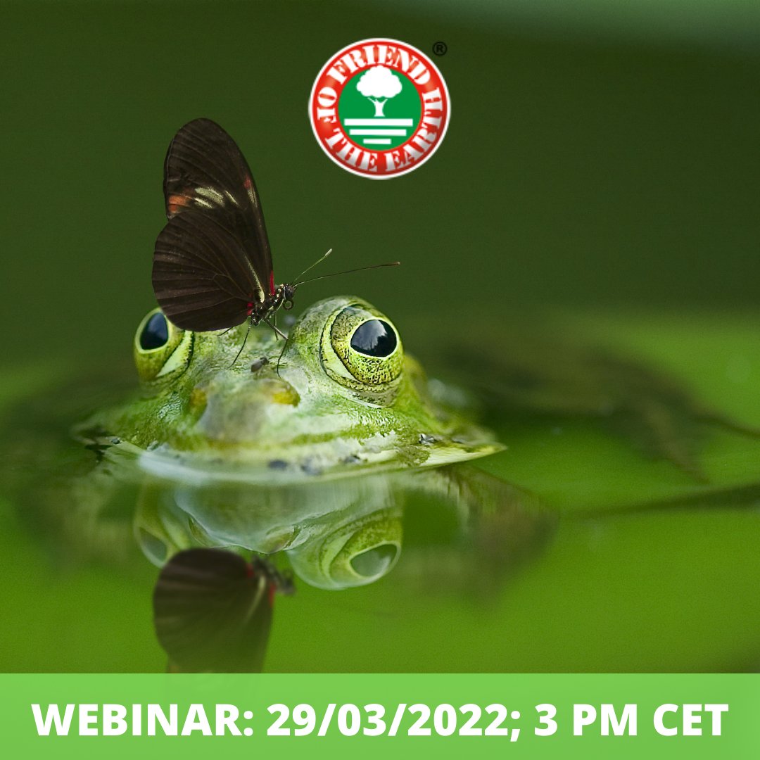 REMINDER🔔
To all our frog lovers and supporters 🐸💚 

We would like to invite you to our webinar and update you about the status of our frog conservation project.

⏰ 29th of March 2022 at 3 PM CET

Please find all the webinar details here: 
friendoftheearth.org/webinar-on-fro…