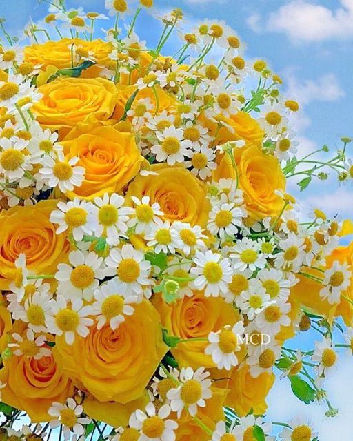 День рождения женщины солнце. Солнечный букет. Красивые цветы. Красивый букет цветов. Солнечный цветок.