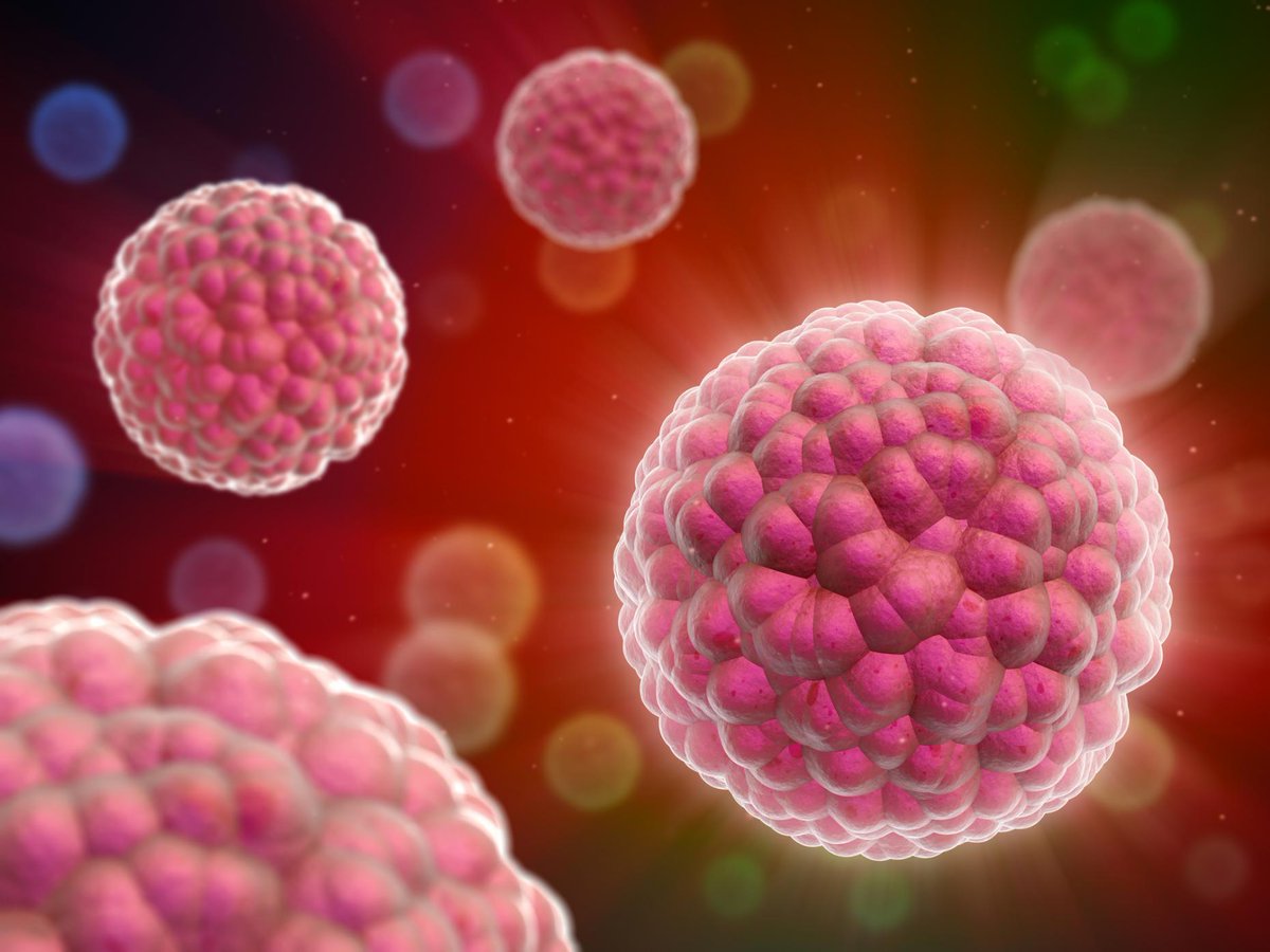 🔬 [#recherche]

Comment être sûr qu’un traitement anticancéreux 💊 donné à un.e patient.e sera bien le plus adapté pour combattre son #cancer ?🤔
Le projet ORGANOMIC est prometteur !👉 bit.ly/3wEVf6a

#biologie #statistique #sante
<a href="/Inserm/">Inserm</a> <a href="/GustaveRoussy/">Gustave Roussy</a> <a href="/UnivParisSaclay/">Université Paris-Saclay</a>