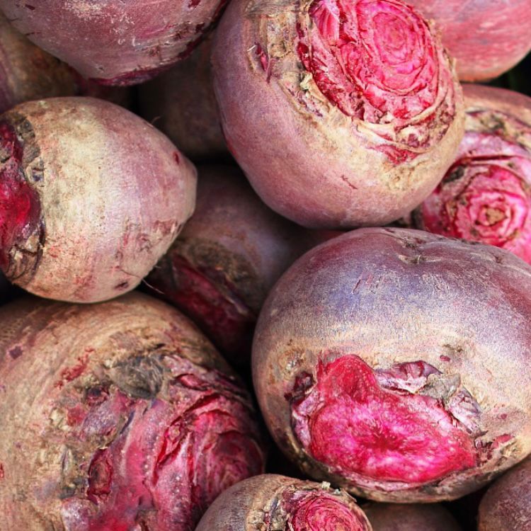 rushtonsgrocer's tweet photo. Candy beets are slightly milder than their red cousins making them an excellent choice for salads when sliced thinly.
#classicfreshfoods #londonsupplier #catering #chef #london #restaurant #londonrestaurants #foodies #seasonal #seasonalproduce #candybeets #rootveg https://t.co/55gLk0MLIx