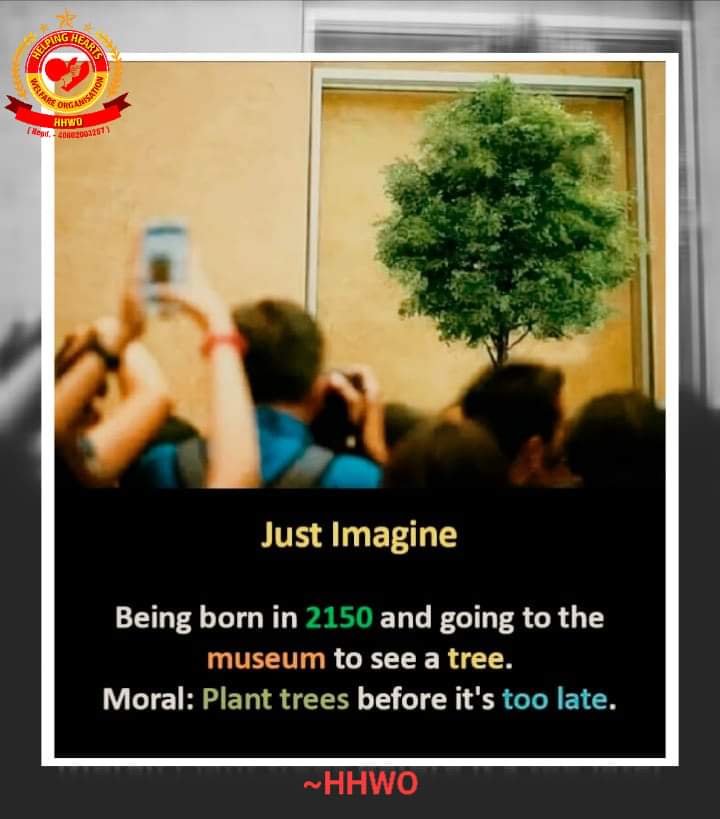 HHWOBam's tweet photo. Helping Hearts Welfare Organisation (HHWO).

#PlantTreeSaveLives for Future.
 
#PlantTreeSaveNatures for Future.

#PlantTreesSaveEarth for Future.

Thanks, &amp;
Regards,
Helping Hearts Welfare Organisation (HHWO) 🙏🙏🙏 https://t.co/KPF5rQEmd7