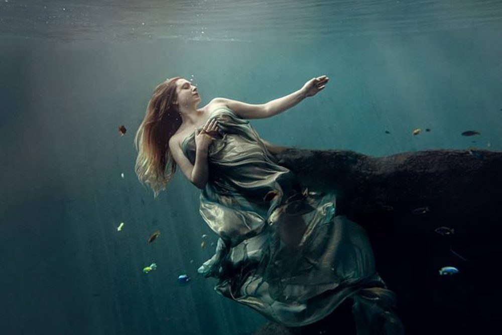 Graine de Photographe tweet media