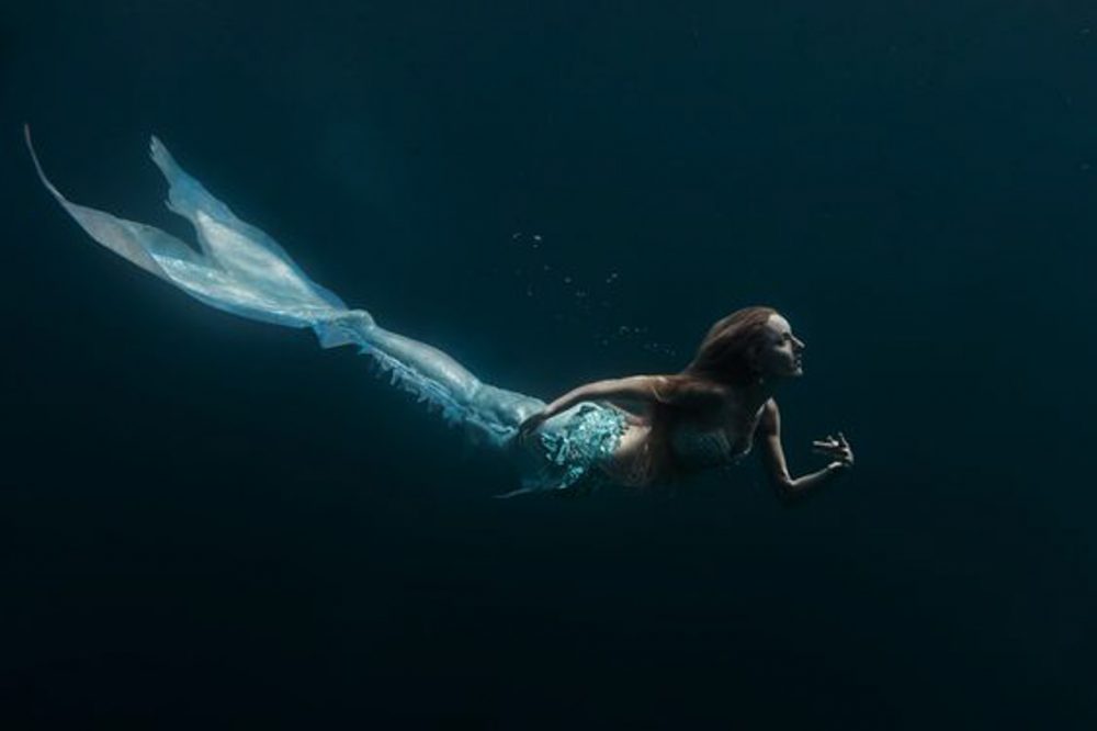 Graine de Photographe tweet media