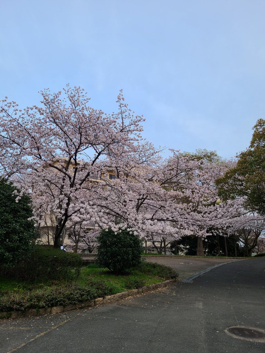 だんご🍡 tweet media