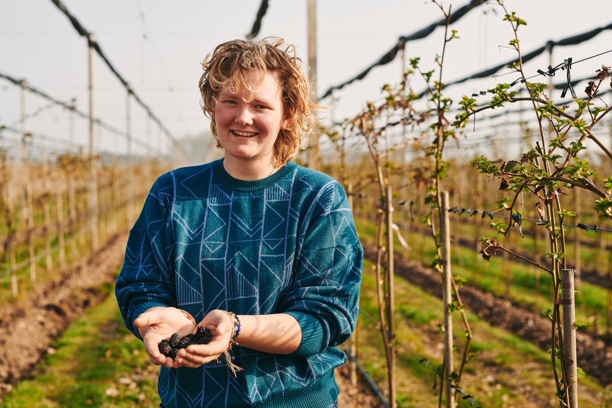 Aardpeer, samen voor grond tweet media
