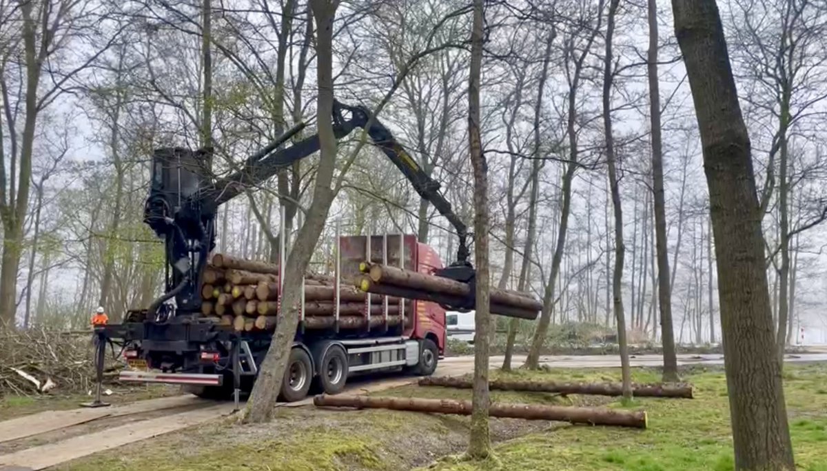 Arc2Principles's tweet image. Voor De Speelwildernis @SpeelWild heeft @Arc2architecten het ontwerp gemaakt voor de entree van de SpeelWildernis bij het Oerbos van @FloriadeExpo .   Kuperus&amp;amp;Gardenier gaan het bouwen. Hier worden de eerste bouwmaterialen afgeleverd.