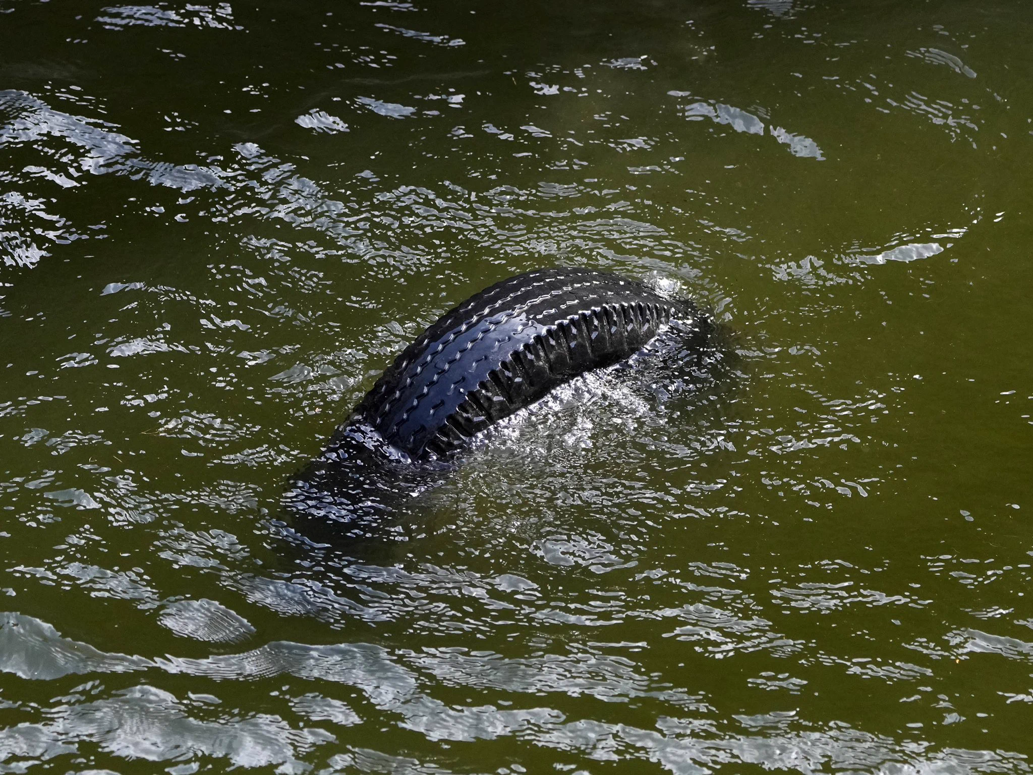 いつかやると思った？タイヤを落としてしまったトラの様子www