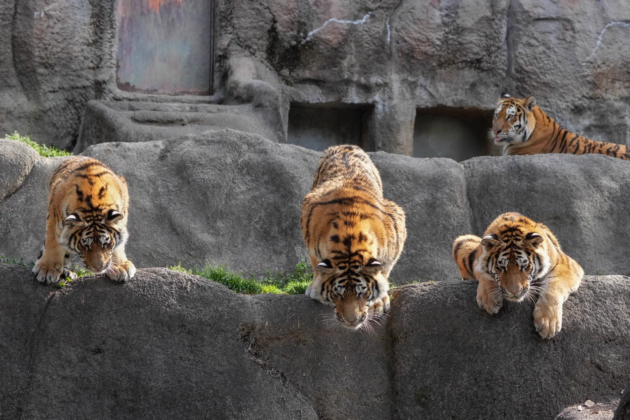 いつかやると思った？タイヤを落としてしまったトラの様子www