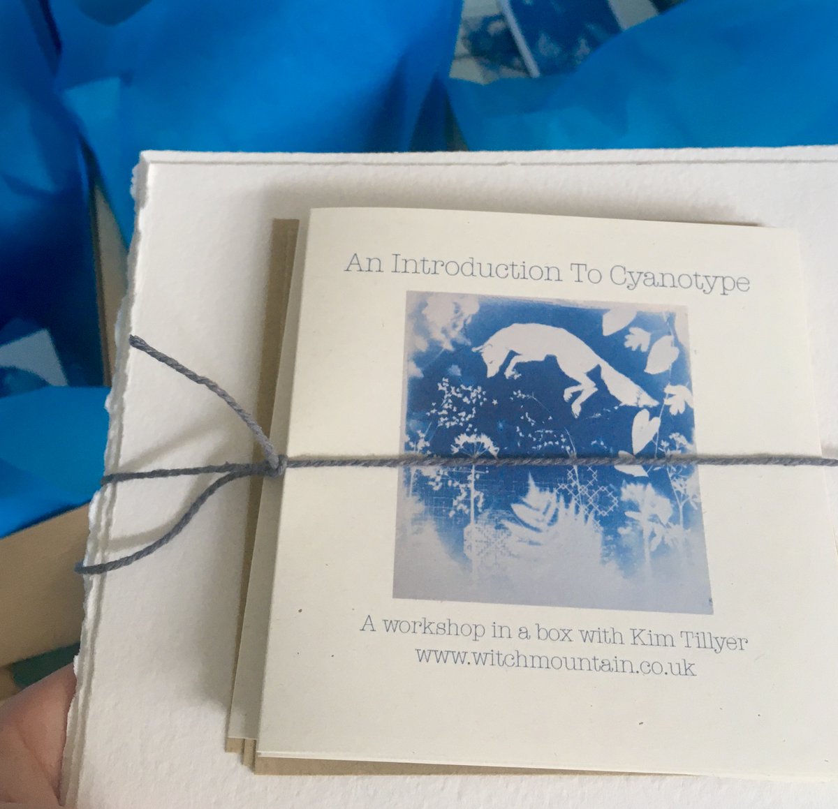 KimTillyer's tweet photo. I'll be at @RhegedCentre next Saturday so that you can #MeetTheMaker &amp; I'll also have some of my rare and fabulous #Cyanotype kits so that you can BE the Maker! https://t.co/c6zoU8mSsr